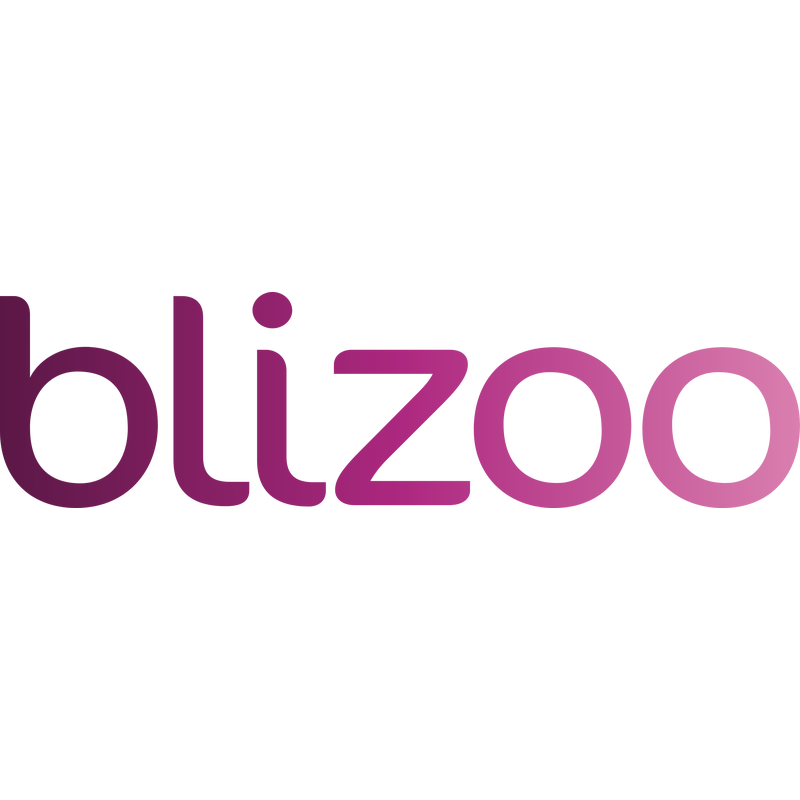 Blizoo Logo PNG Vector, Icon