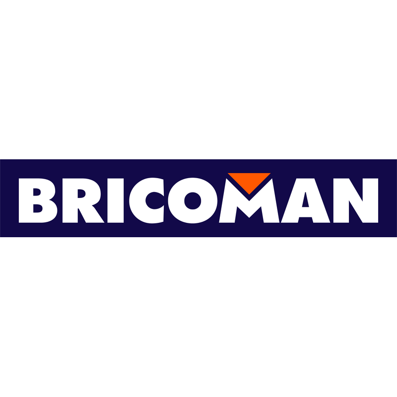 Bricoman โลโก้ PNG Vector  PNG