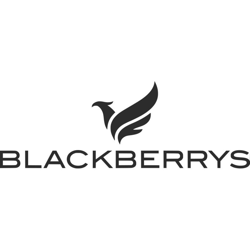 Blackberrys Logo PNG Vector  PNG