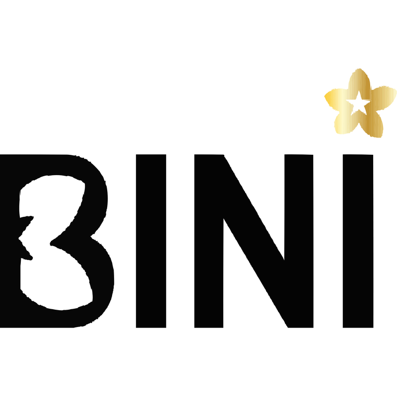 BINI Logo PNG Vector  PNG