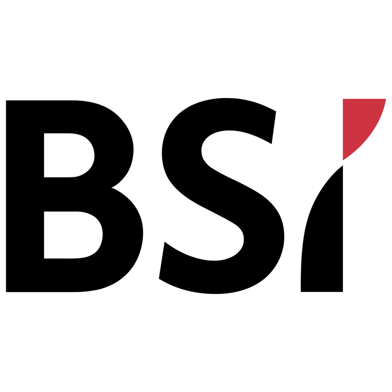 BSI SA Logo PNG Vector  PNG