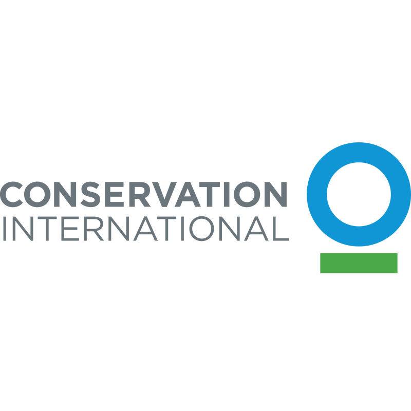 Ci Logo PNG Vector  PNG