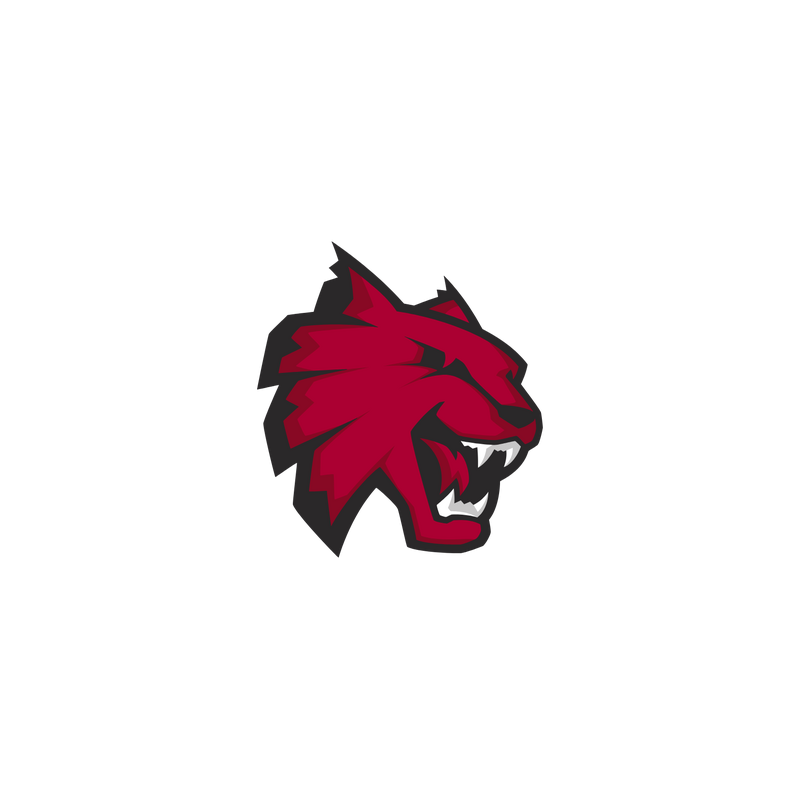 Central Washington Wildcats Logo PNG Vector  PNG