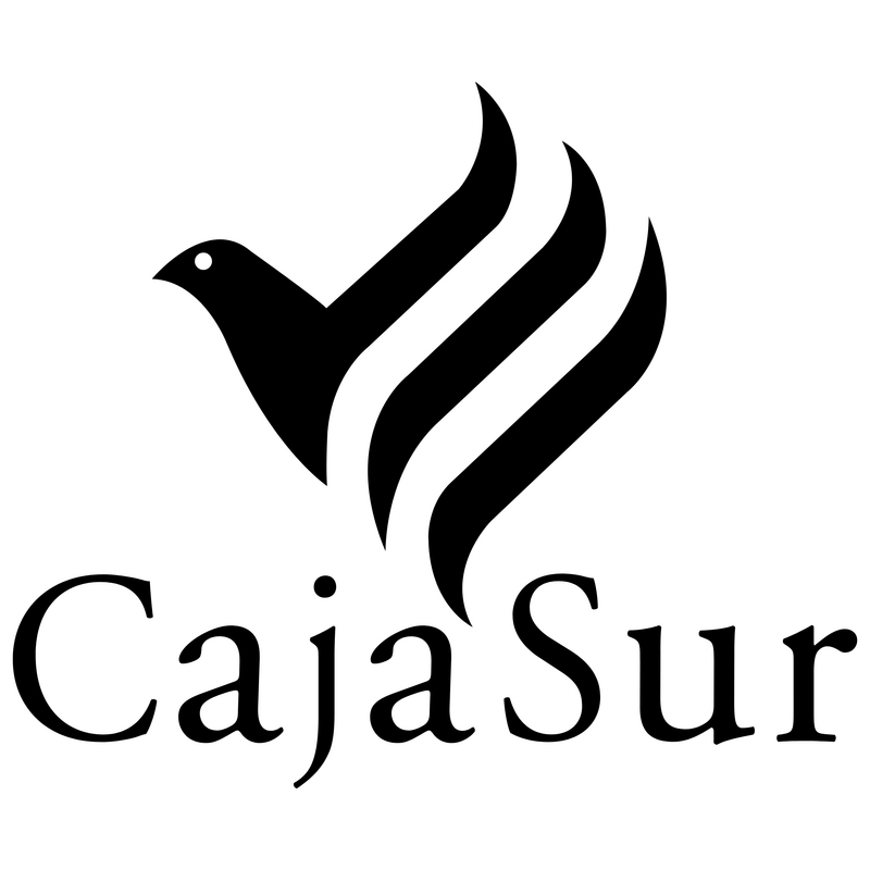 CajaSur Logo PNG Vector  PNG
