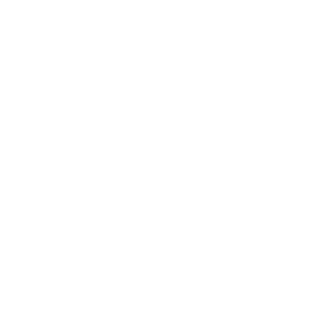Chesscom 로고 PNG