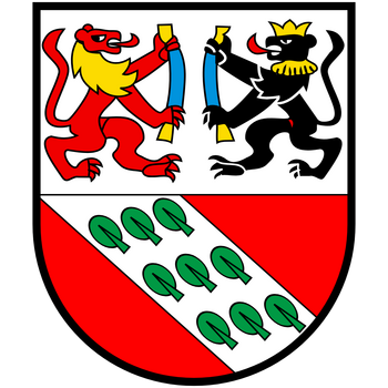 CHE Zollikofen Logo PNG