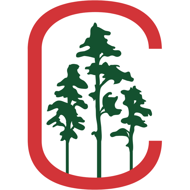 Chinguacousy Secondary School Logo PNG Vector  PNG