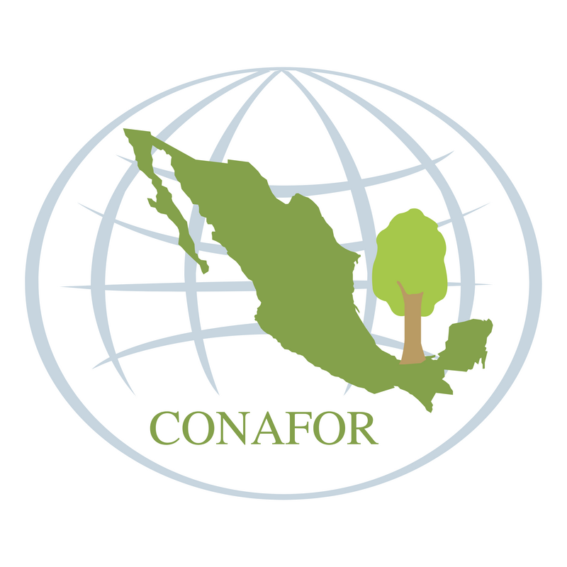 Conafor Logotyp PNG Vector  PNG