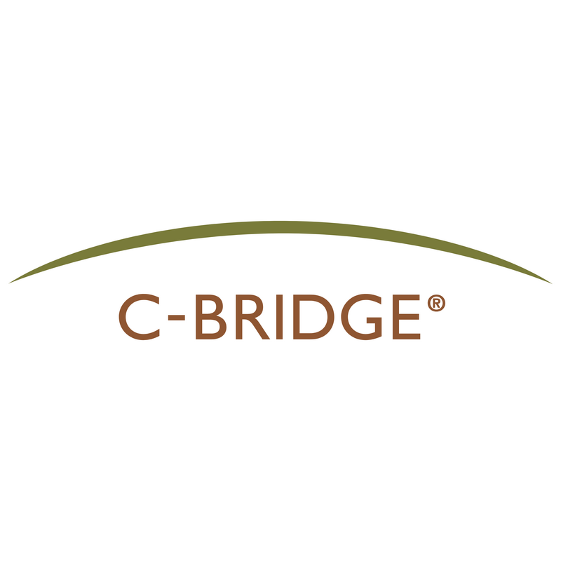 C Bridge Logo PNG Vector  PNG