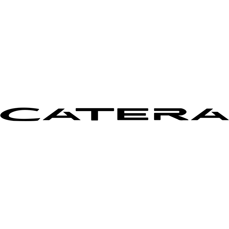 Cadillac Catera Logo PNG Vector  PNG