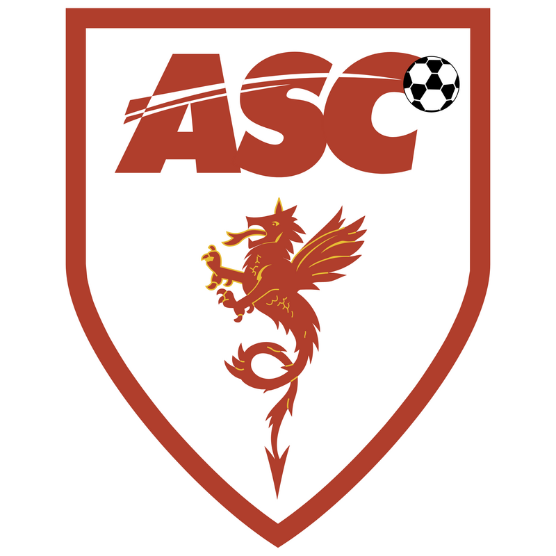 Cannes Logo PNG Vector, Icon