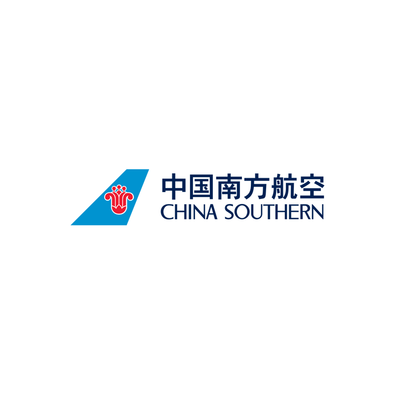 China Southern Airlines 标志 PNG Vector  PNG
