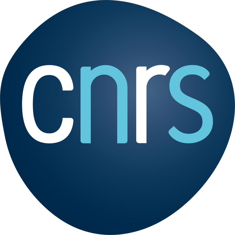 Cnrs Logo PNG Vector  PNG
