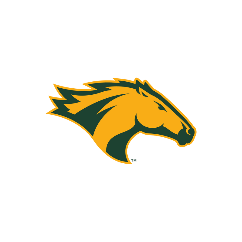Cal Poly Pomona Broncos Logo PNG Vector  PNG