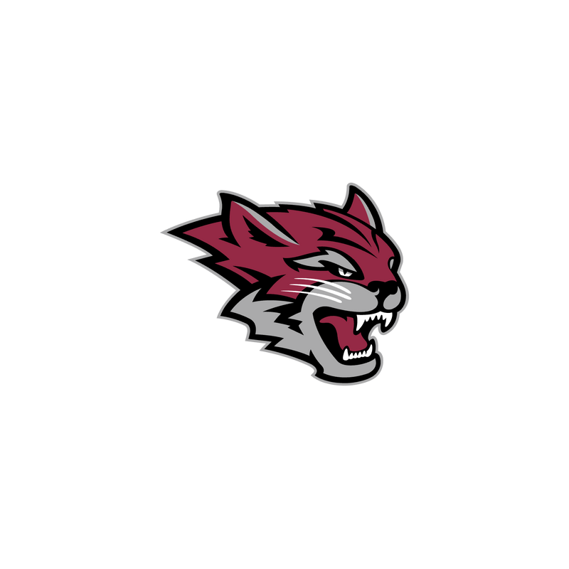 Chico State Wildcats Лого PNG Vector  PNG