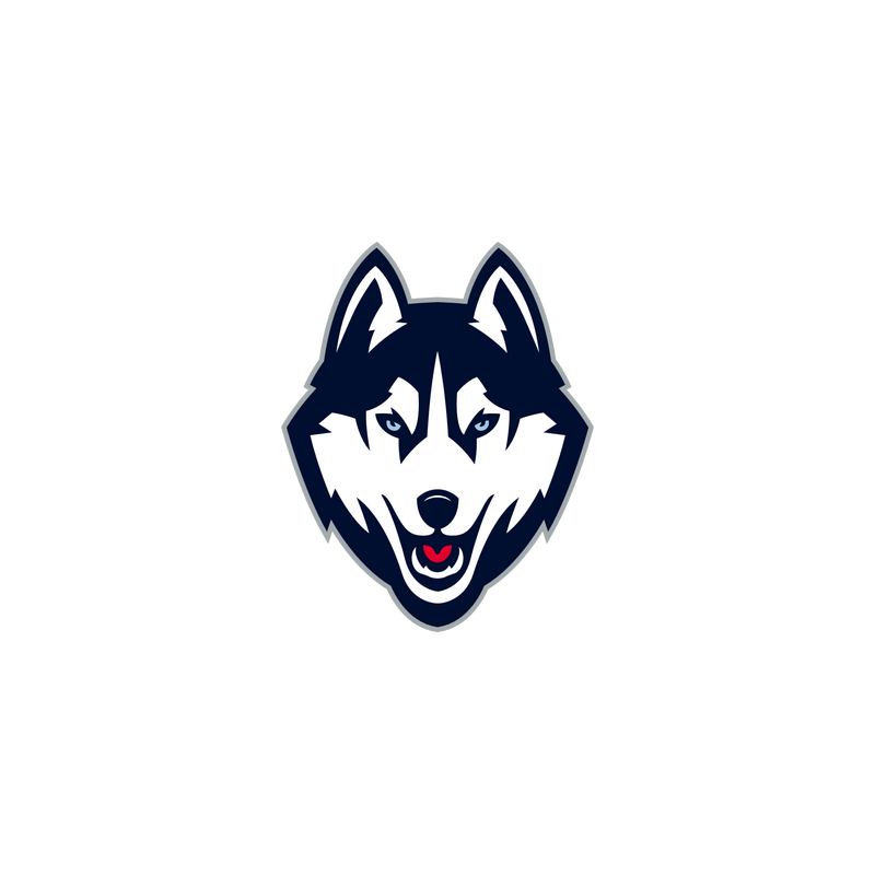 Connecticut Huskies Logo PNG Vector  PNG