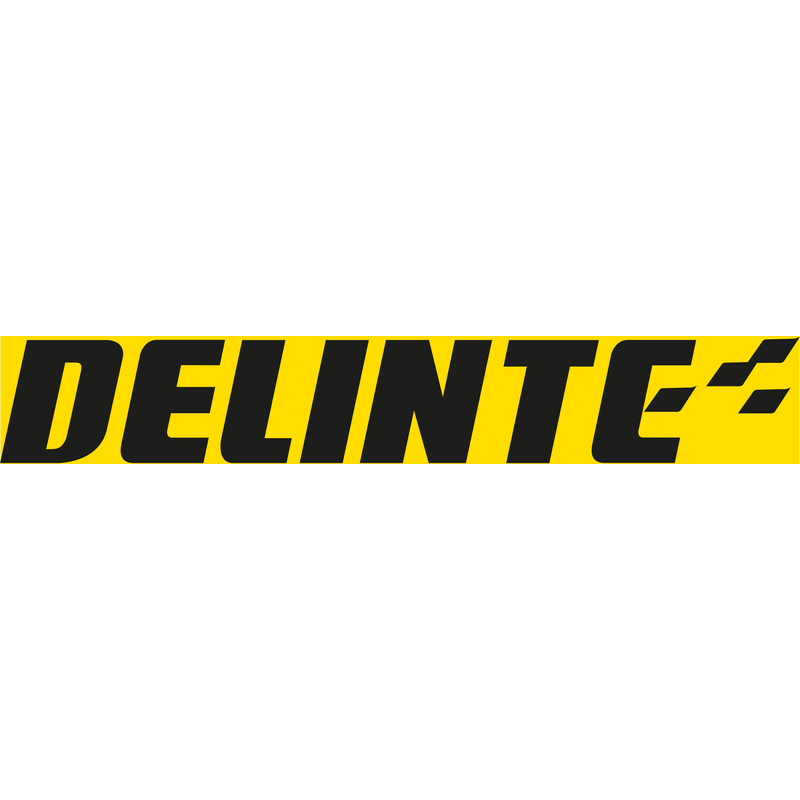 Delinte Logo PNG Vector, Ikona