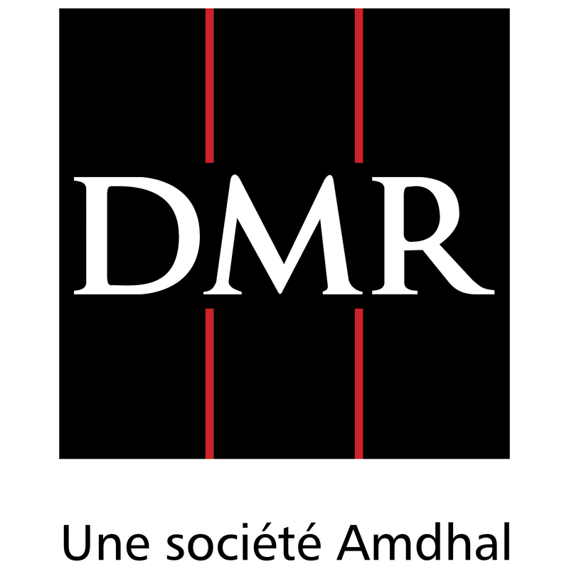 DMR Logo PNG Vector  PNG
