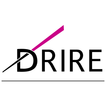 Drire Logo PNG