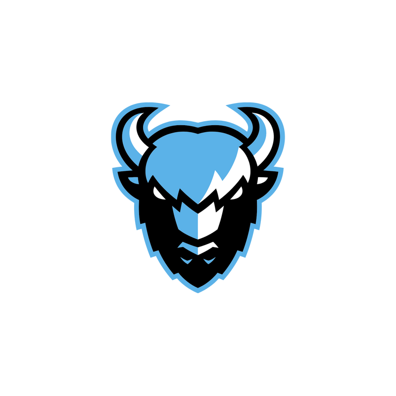 Dinamo Minsk Logo PNG Vector  PNG