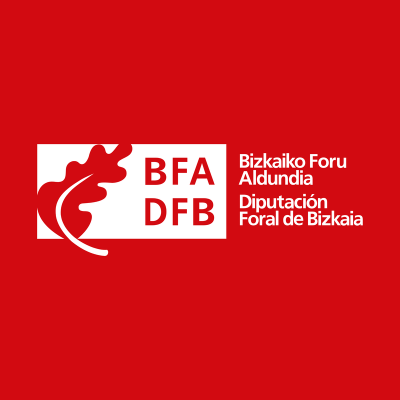 Diputación Foral De Bizkaia Logo PNG Vector  PNG