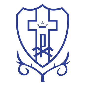 Dom Bosco Futebol Clube De Tres Lagoas Ms Logo PNG