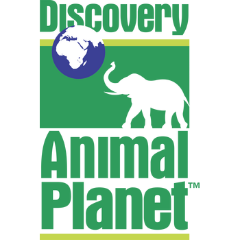 Discovery Animal Planet Logo PNG Transparan