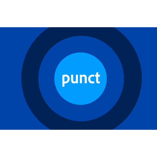 Digi Punct Logo svg
