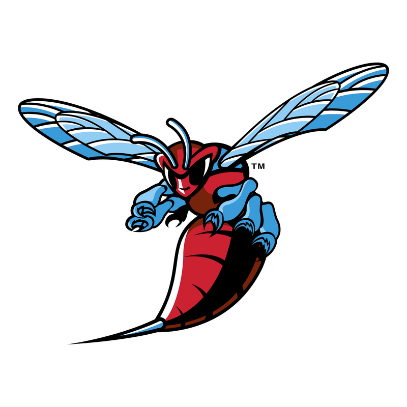 Delaware State Hornets 标志 PNG Vector  PNG