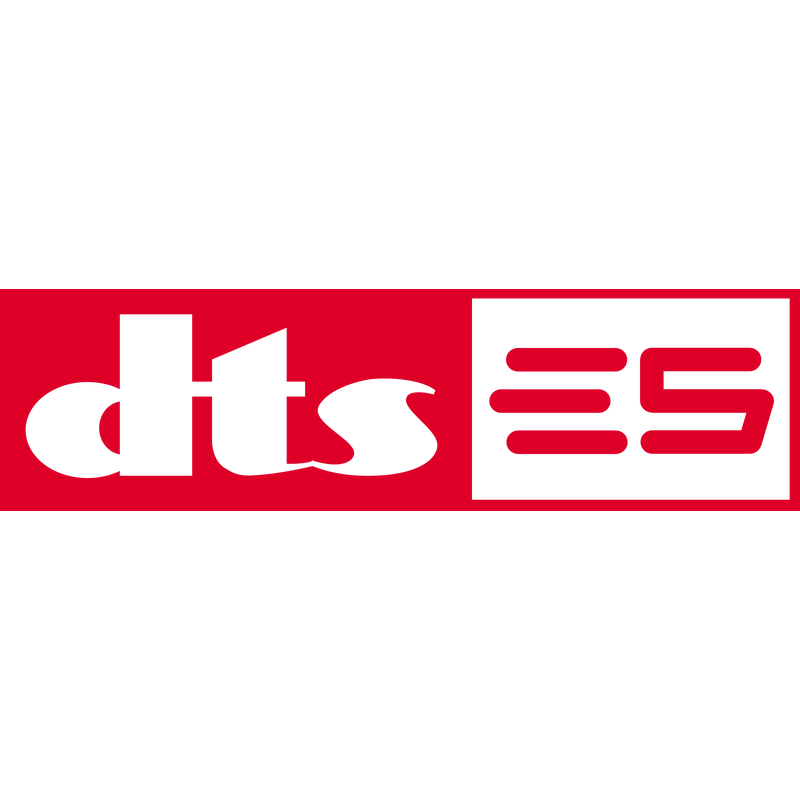 Dts Es ロゴ PNG Vector  PNG