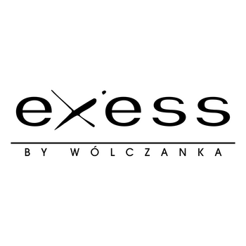Exess Logo PNG Transparent