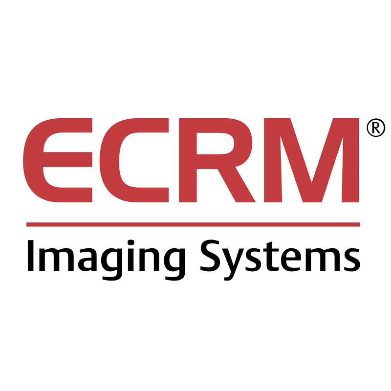 ECRM Logo PNG Vector, Ikona