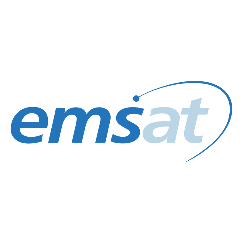 Emsat Logo PNG Vector  PNG