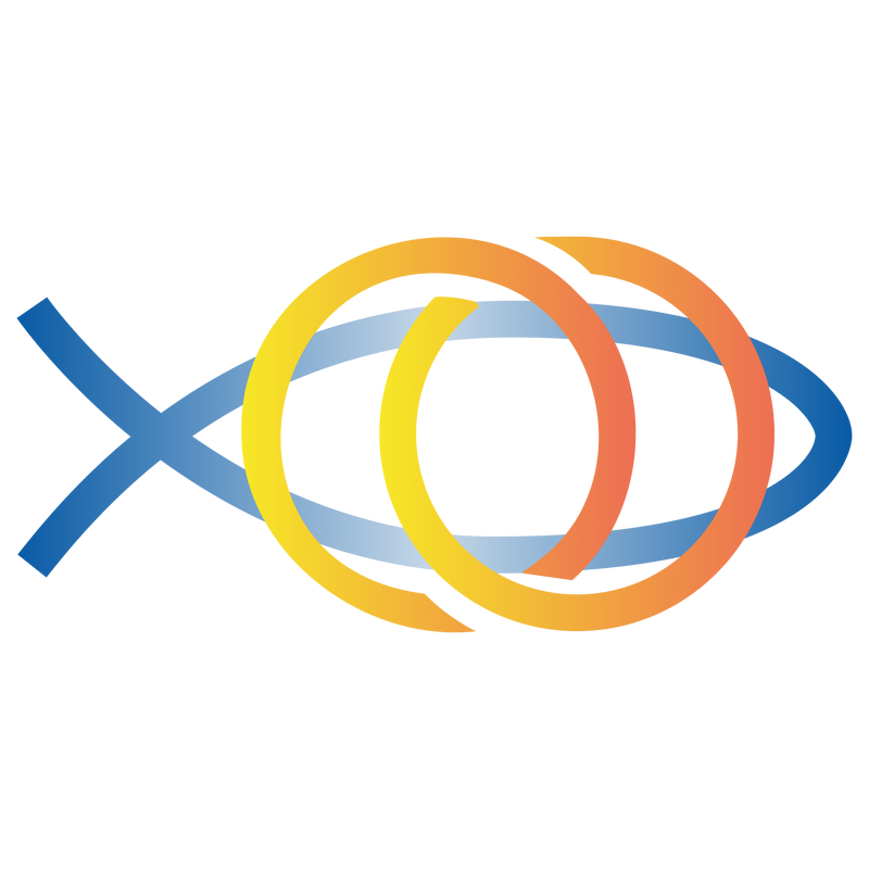ENS Logo PNG Vector  PNG