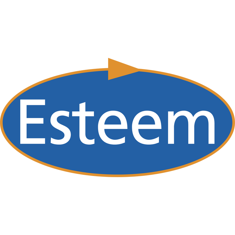 Esteem Logo PNG Vector  PNG