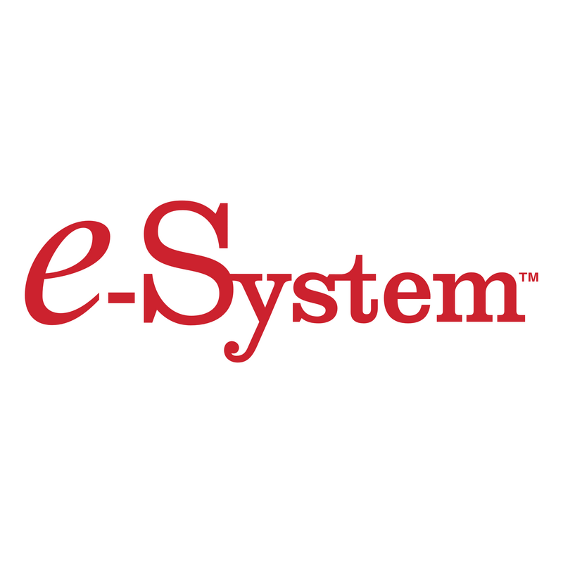 E System Logo PNG Vector  PNG