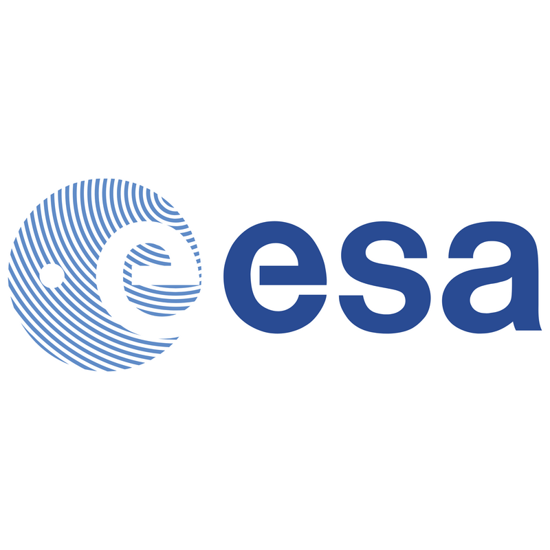 Esa Logo PNG Vector  PNG