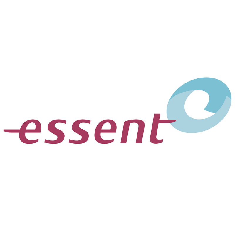 Essent Logo PNG Vector  PNG