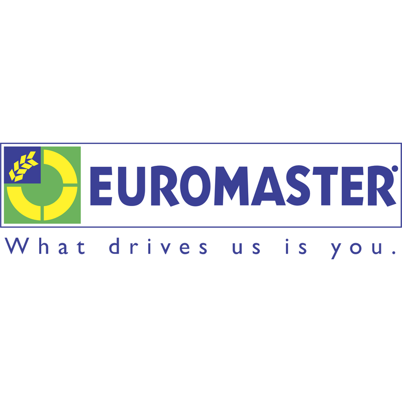 Euromaster Logo PNG Vector  PNG
