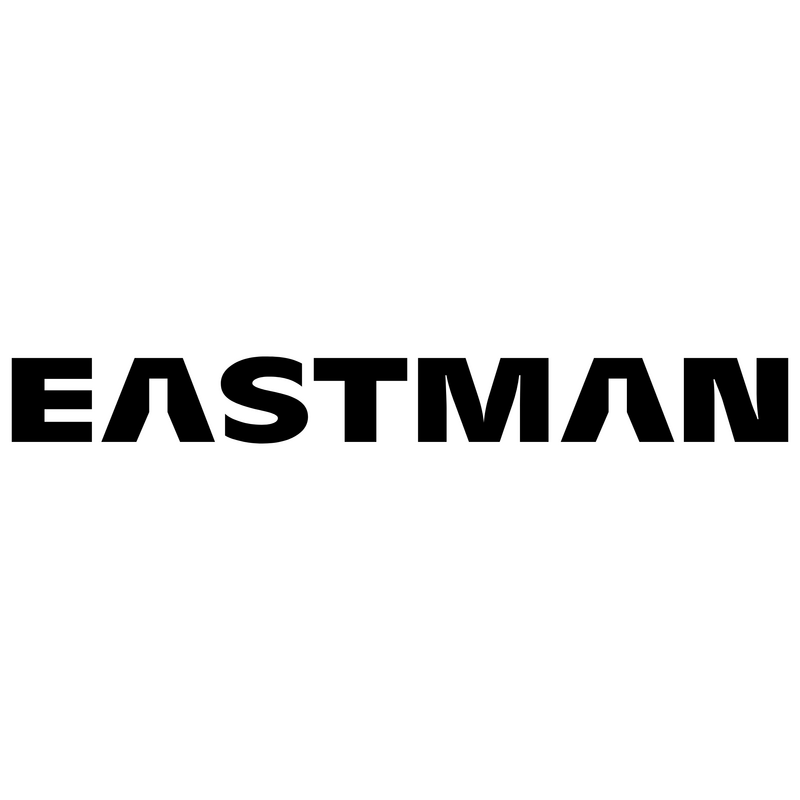 Eastman Logo PNG Vector, Icon