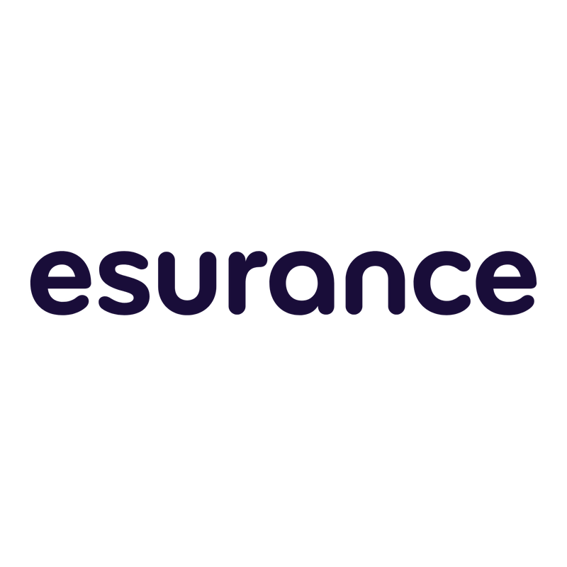 Esurance Logo PNG Vector  PNG
