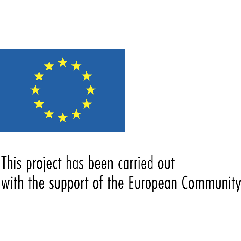 European Community Лого PNG Vector  PNG