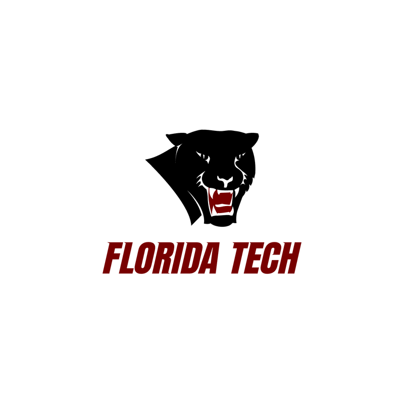 Florida Tech Panthers Logo PNG Vector  PNG
