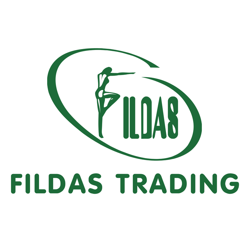 Fildas Group Logo PNG Vector  PNG