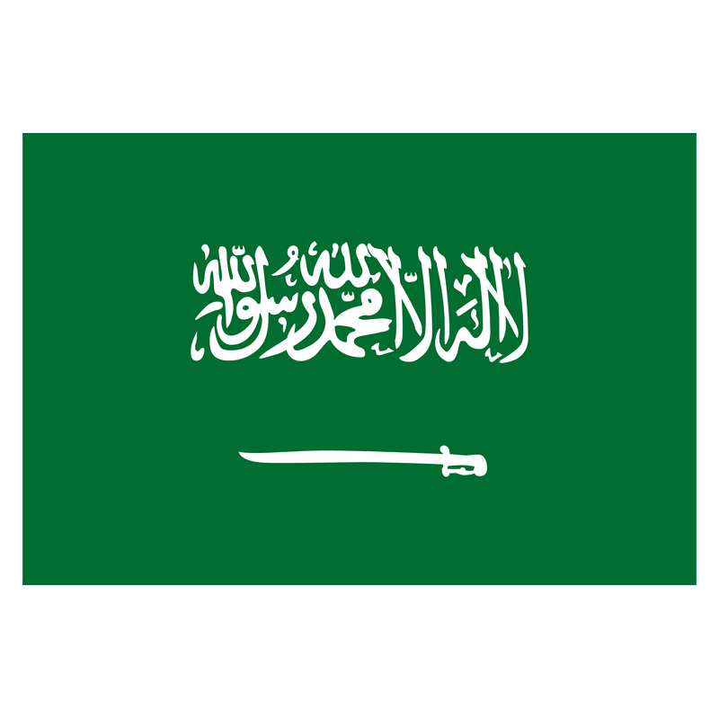 Flag Of Saudi Arabia 标志 PNG Vector  PNG