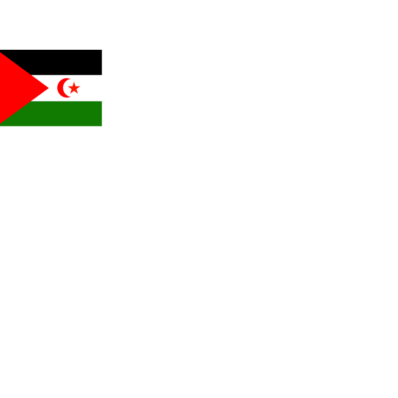 Flag Of Western Sahara Logo PNG Vector  PNG