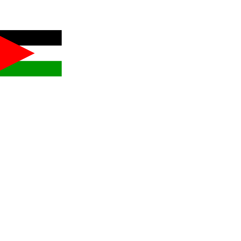 Flag Of State Of Palestine Logo PNG Vector  PNG