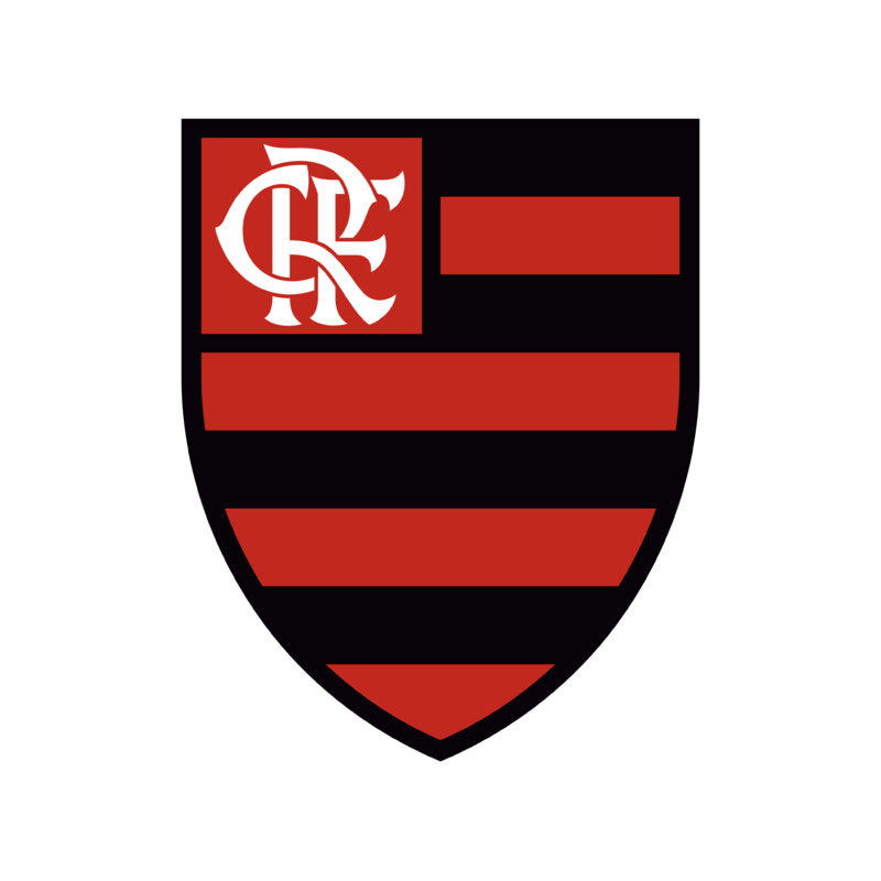 Download Flamengo Logo PNG Transparent Background
