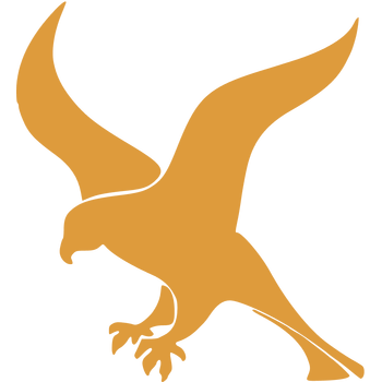 Falcon Logo PNG Transparent