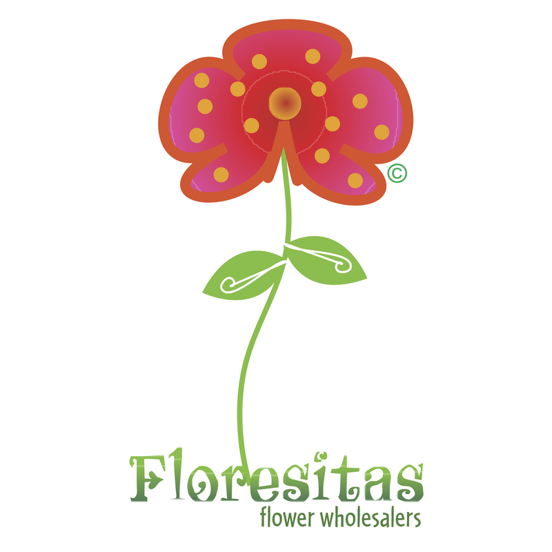 Floresitas Logo PNG Vector  PNG